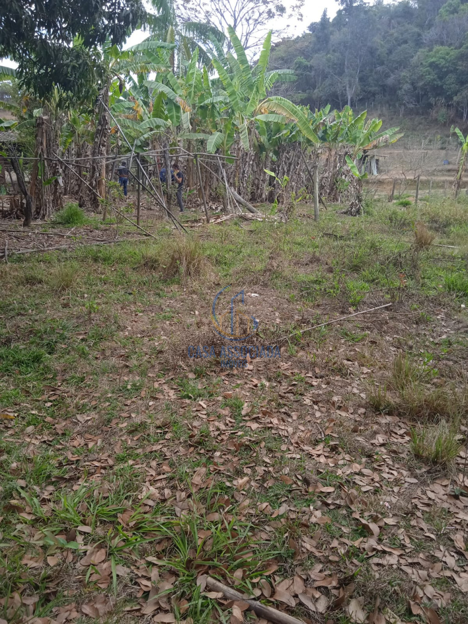 Imagens do imóveis Terreno Á Venda Inácio De Carvalho São José Da Lapa