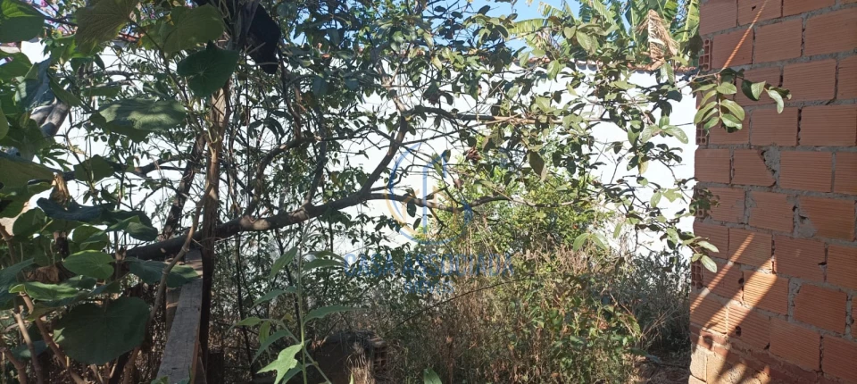 Imagens do imóveis Terreno Á Venda Lote Em Lagoa Santa Lagoa Santa