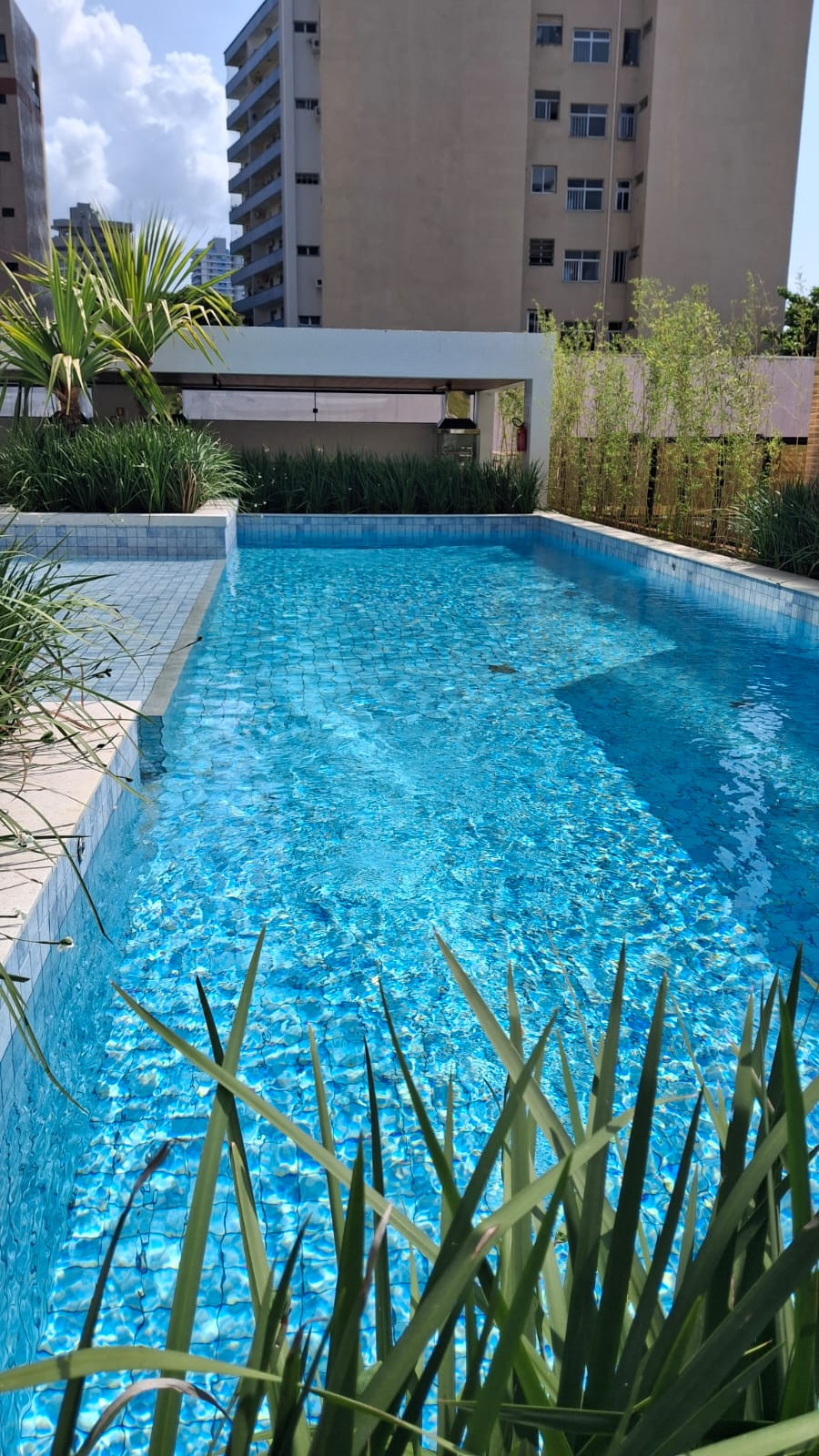 Apartamento Á Venda Livello Garden Liris Residence Belém