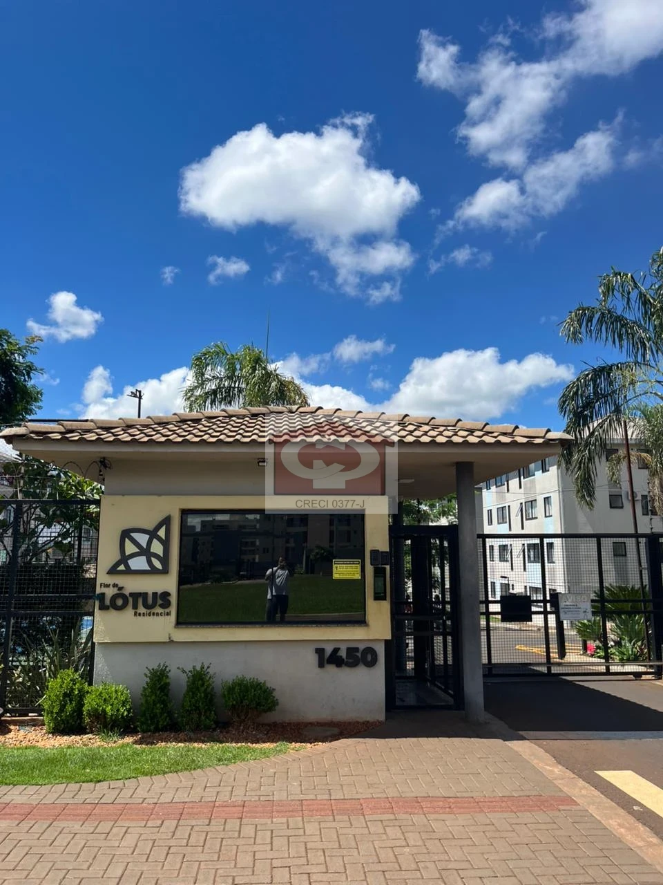 Apartamento À Venda Edificio Flor De Lotus Londrina