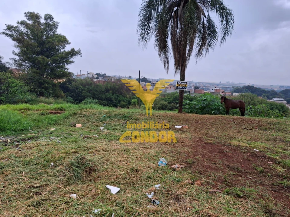 TERRENOS RESIDENCIAL VIEGAS