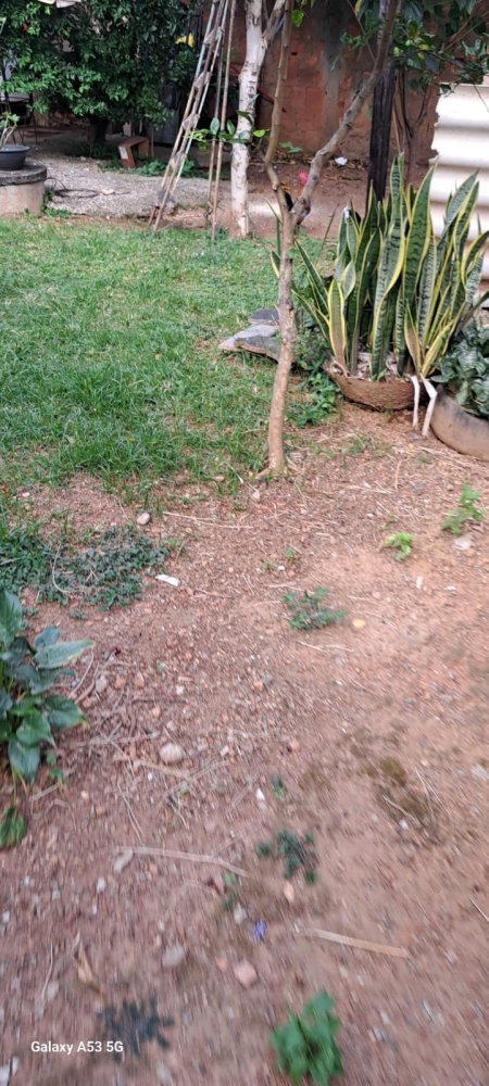 Imagens do imóveis Imóvel Residencial e Comercial à Venda