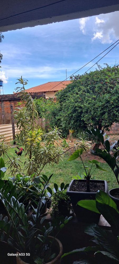 Imagens do imóveis Imóvel Residencial e Comercial à Venda