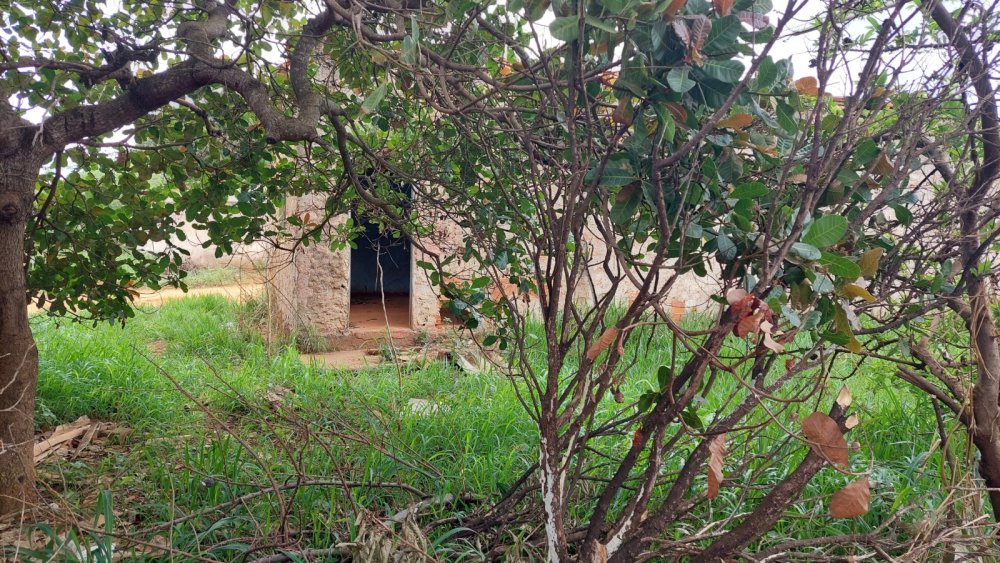 Imagens do imóveis Lote de esquina Villa Romana