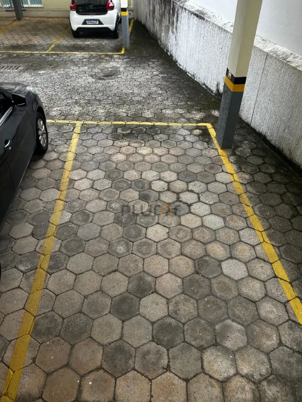 Apartamento Para Alugar Córrego Grande Florianópolis