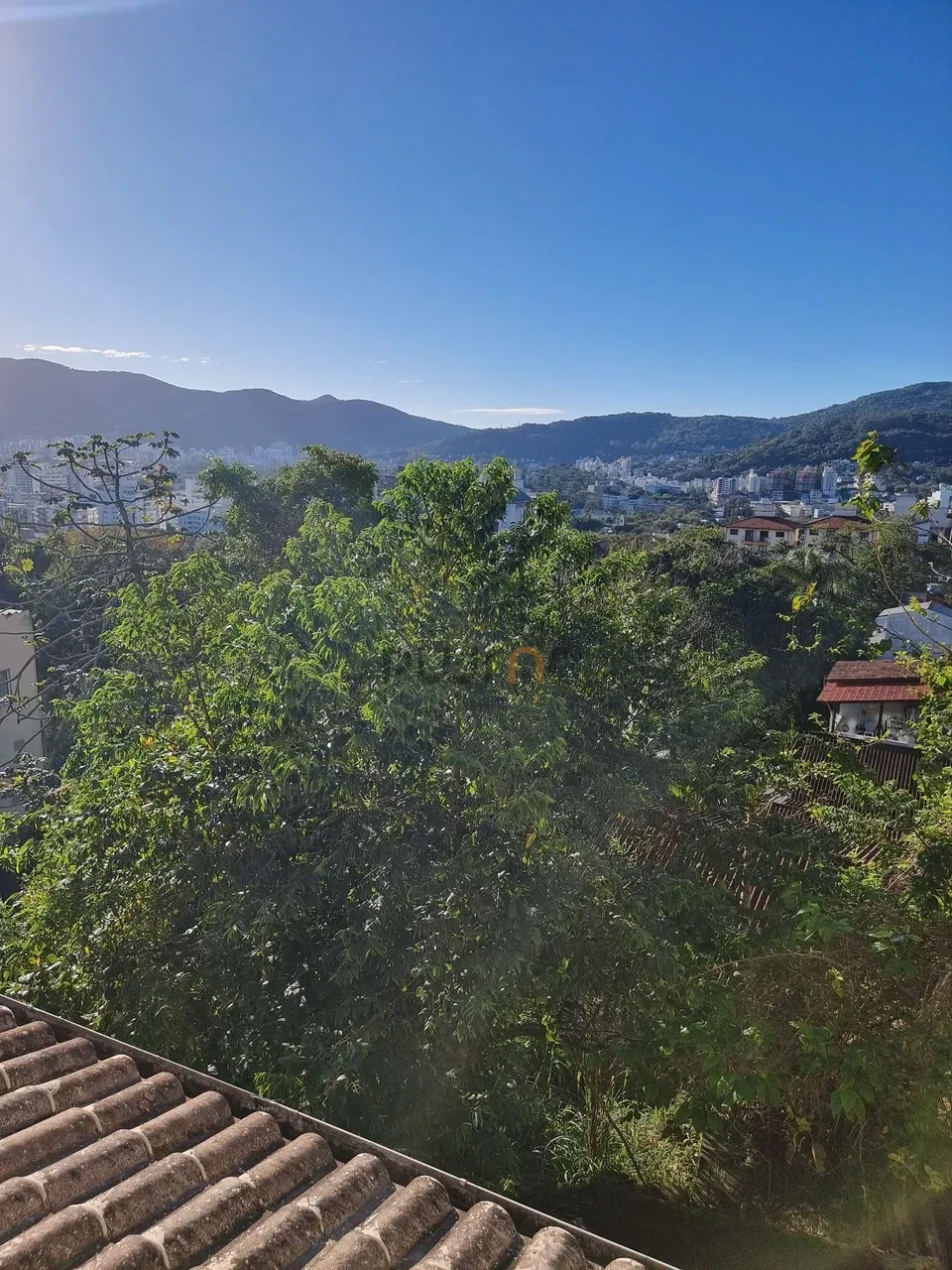 Imagens do imóveis Apartamento Para Alugar Trindade Florianópolis