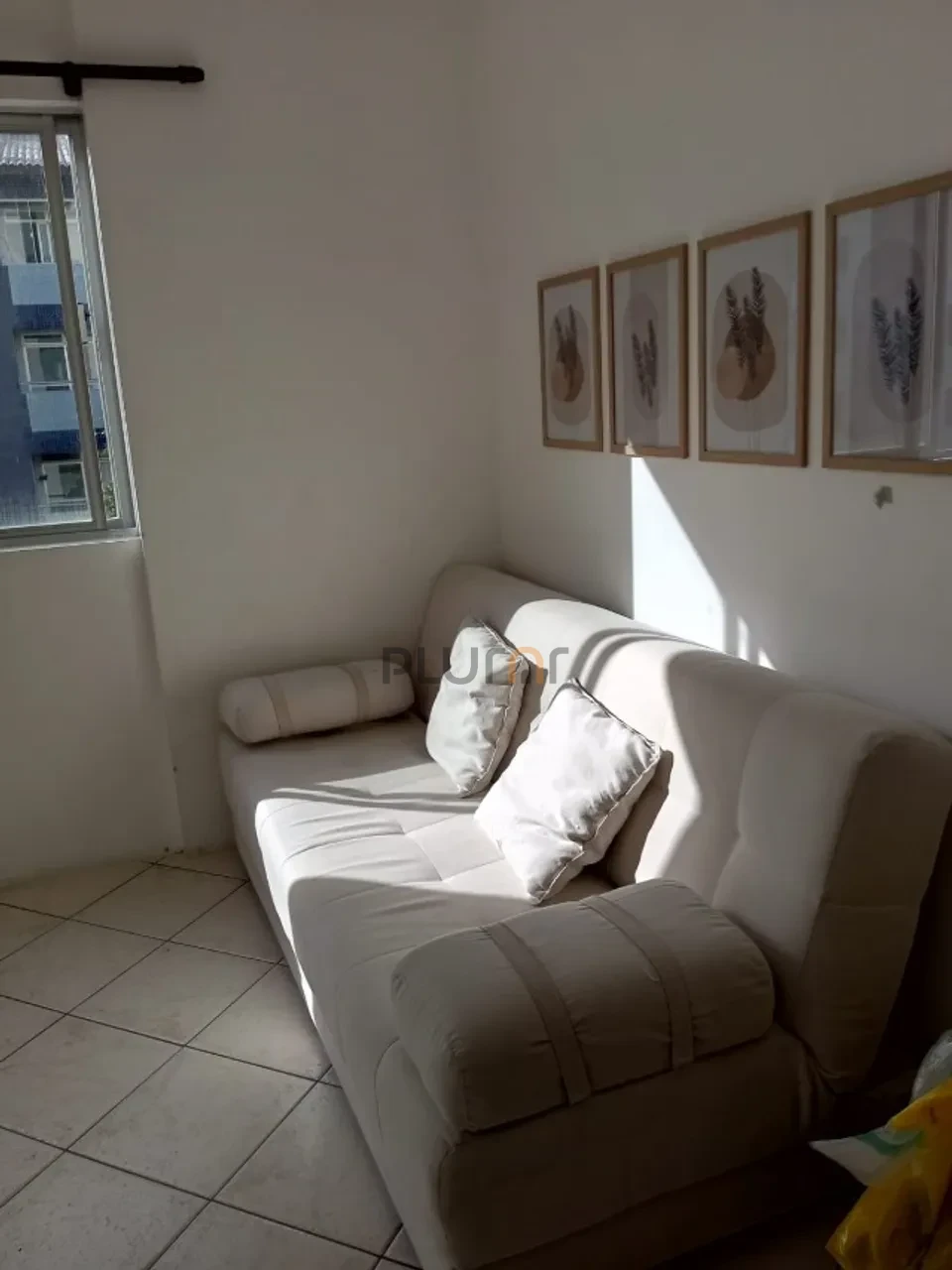 Apartamento Para Alugar Itacorubi Florianópolis