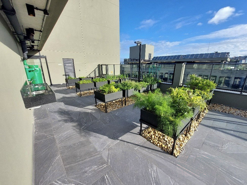 Imagens do imóveis Apartamento Para Alugar Viva Trindade Florianópolis