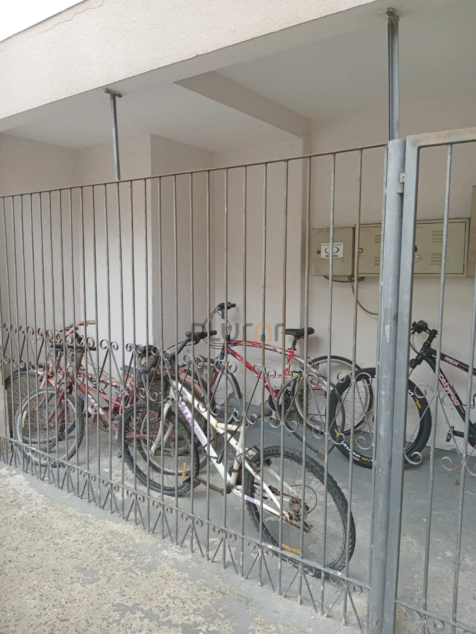 Apartamento Para Alugar Córrego Grande Florianópolis