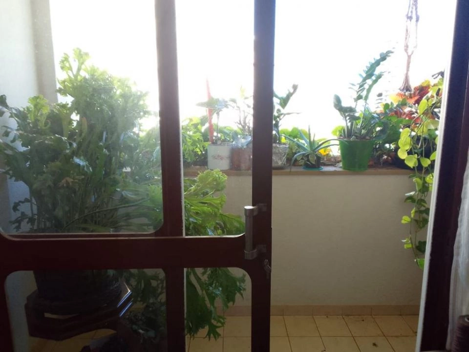 Centro - Casablanca