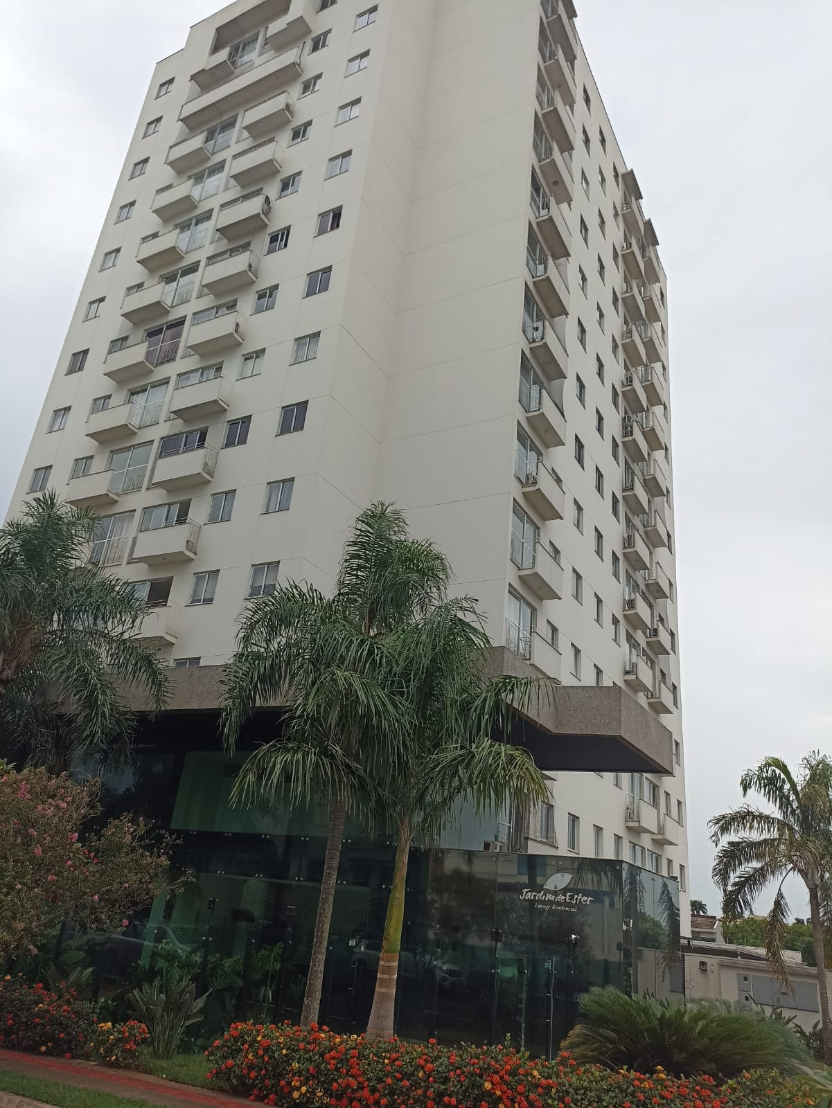 Apartamento Para Alugar Vila Larsen 1 Londrina Edificio Jardim de Ester