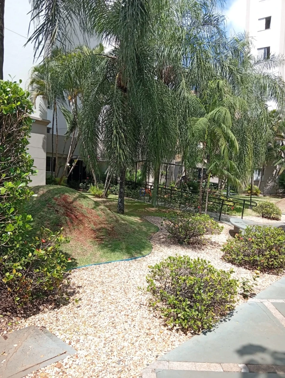 Apartamento para locação Forest Park Gleba Palhano