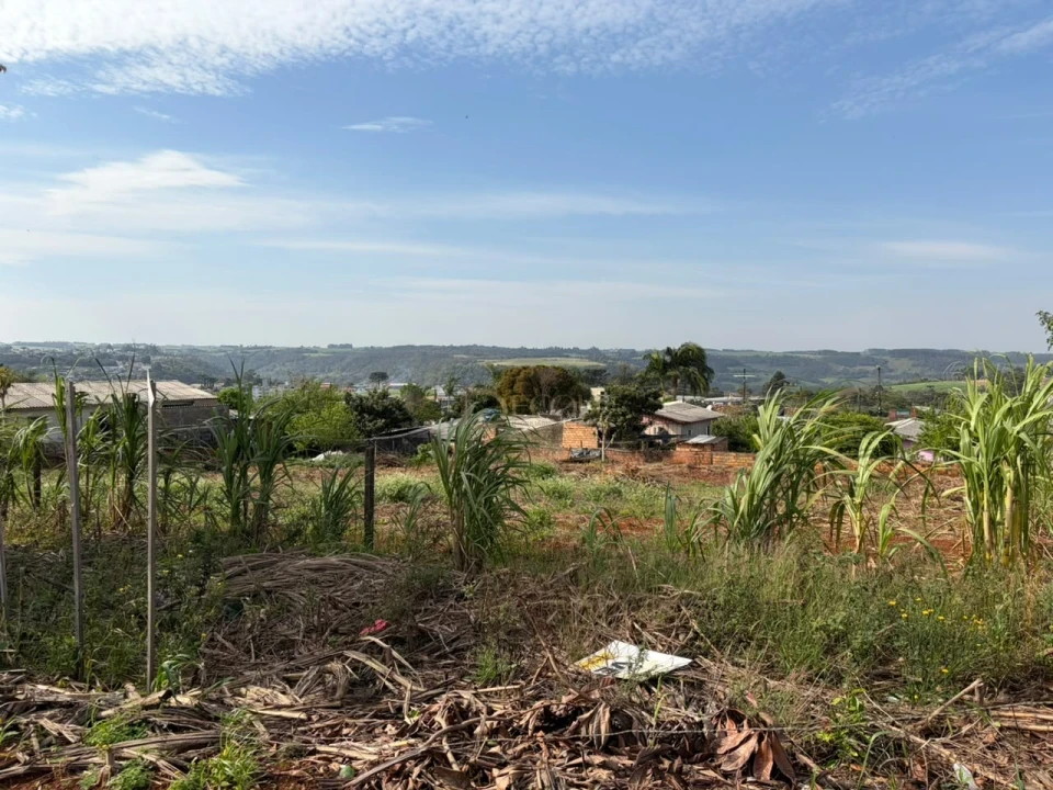 Terreno no Bairro Nossa Sra. Fátima