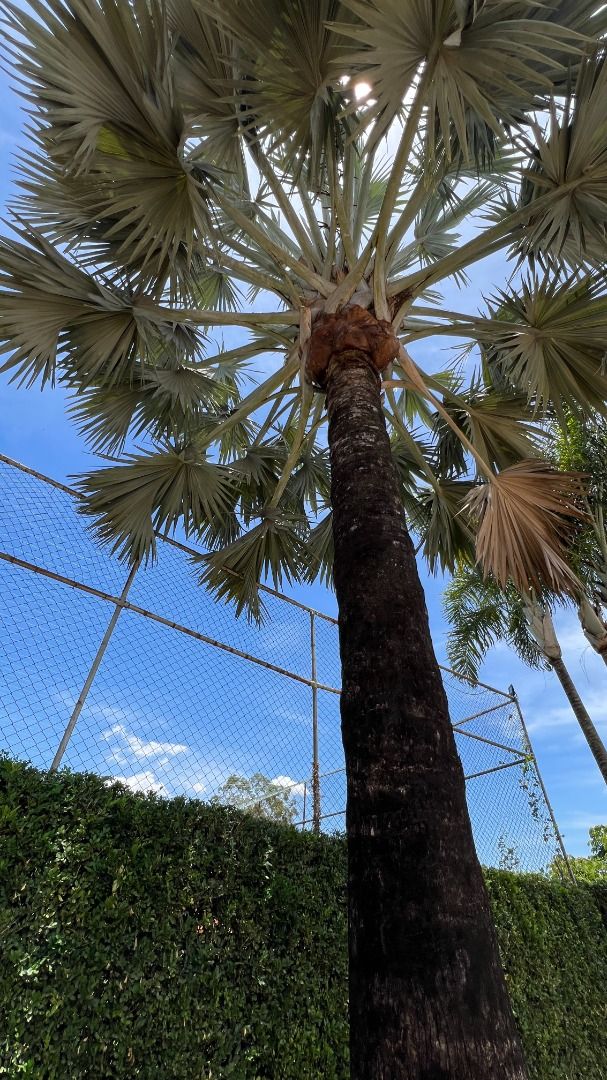 Fazenda, sítio ou chácara 5 quartos à venda em Colinas do Mosteiro de Itaici, Indaiatuba — Colina Mosteiro de Itaici - foto 13