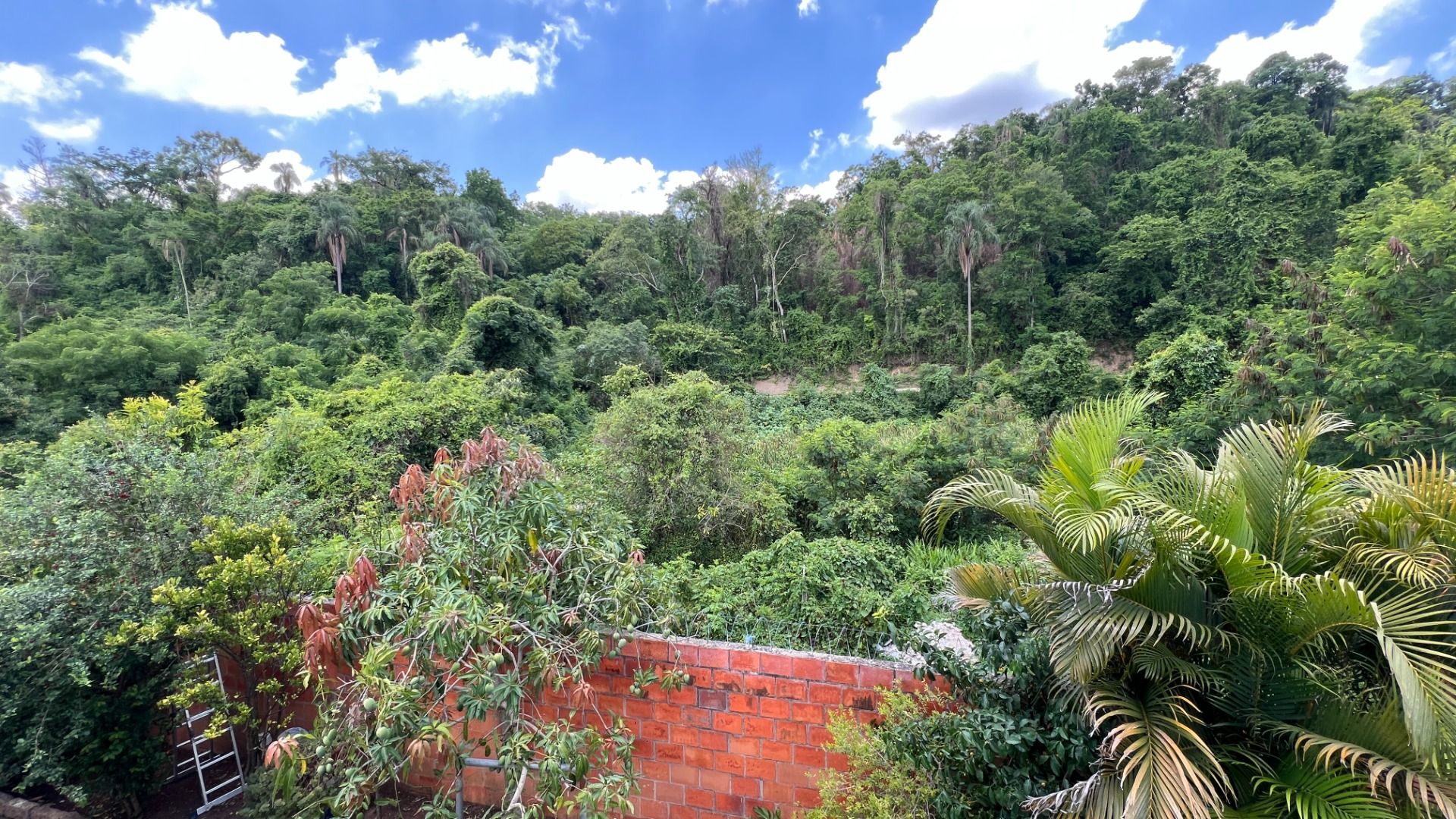 Fazenda, sítio ou chácara 4 quartos à venda em Recanto Campestre Internacional de Viracopos Gleba 4, Indaiatuba - foto 20