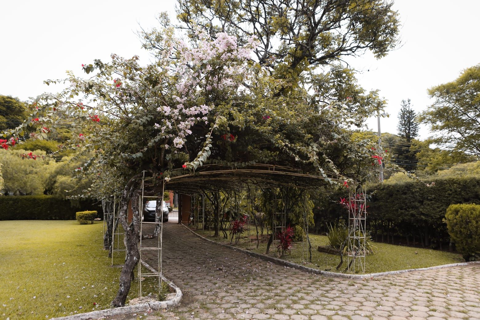 Fazenda, sítio ou chácara 8 quartos à venda em Chácara Polaris, Indaiatuba - foto 4