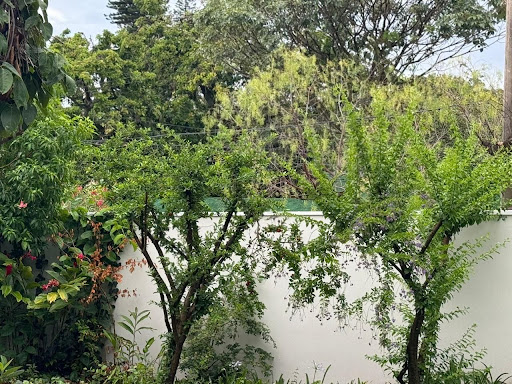 Casa 4 quartos à venda em Jardim Residencial Helvétia Park I, Indaiatuba - foto 5