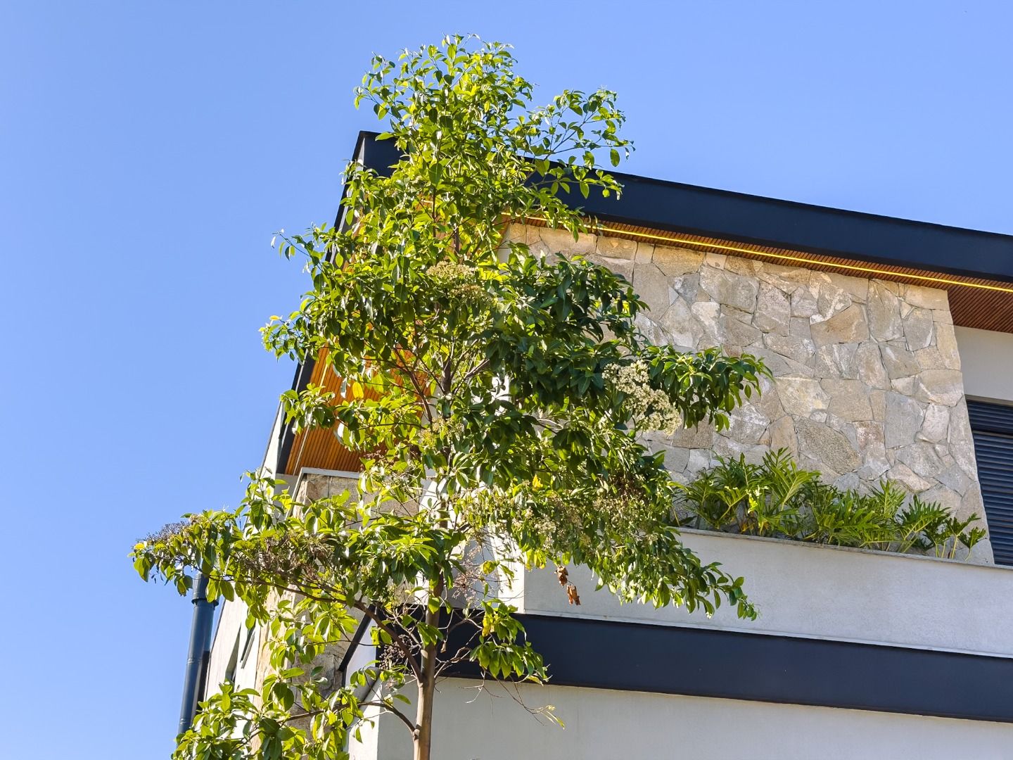 Casa 4 quartos à venda em Parque Villa dos Pinheiros, Indaiatuba - foto 3