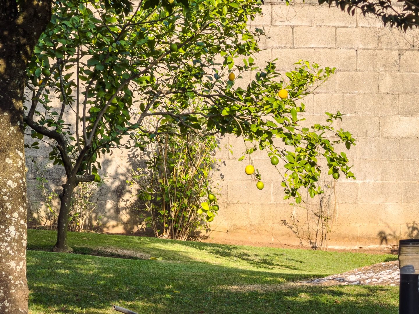 Fazenda, sítio ou chácara 4 quartos à venda em Jardim dos Laranjais, Indaiatuba — Residencial Vale Das Laranjeiras - foto 21