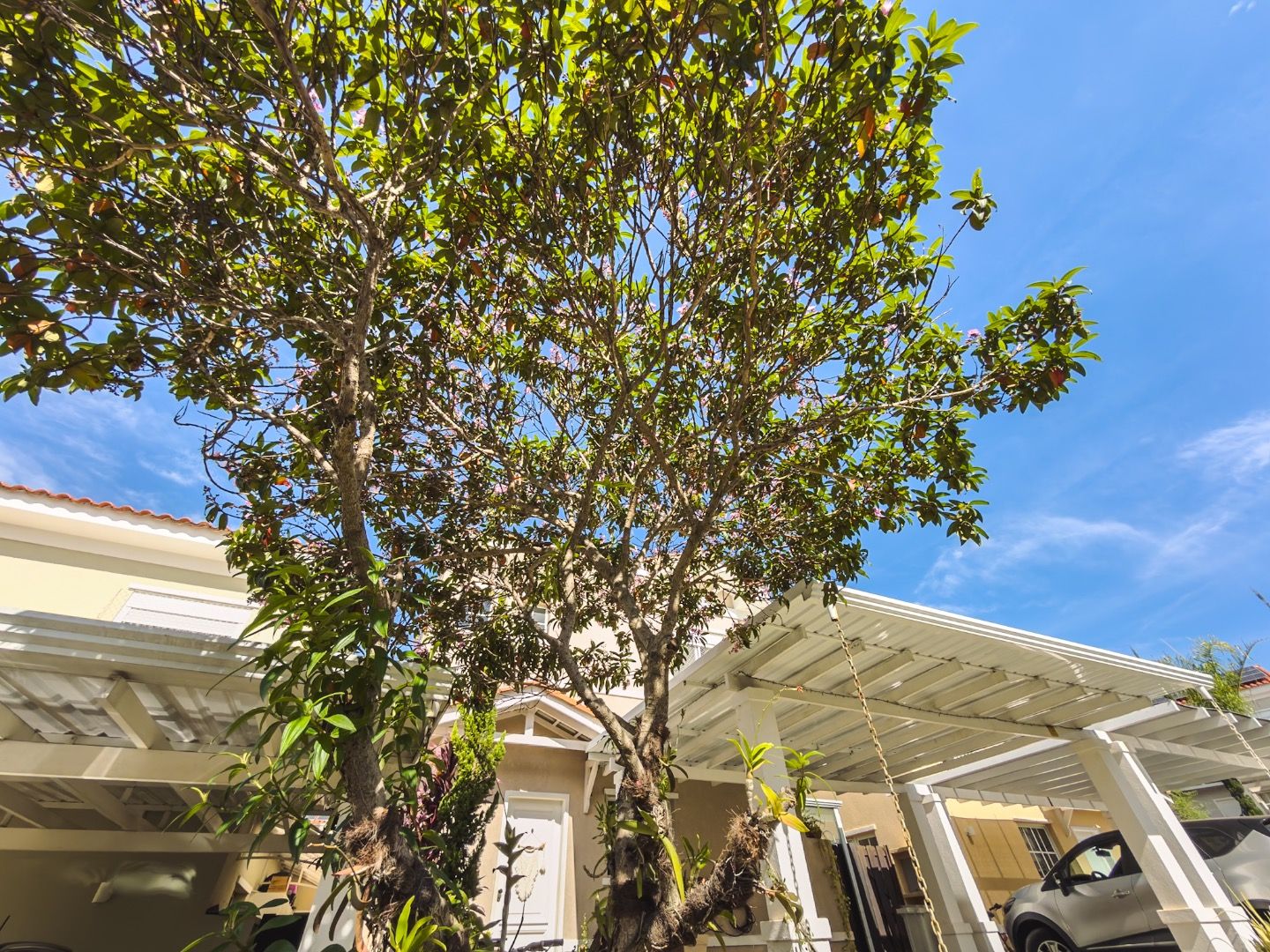 Casa 3 quartos à venda em Casa Bella Bosque Residencial, Indaiatuba — Condomínio Casa Bella Bosque - foto 3