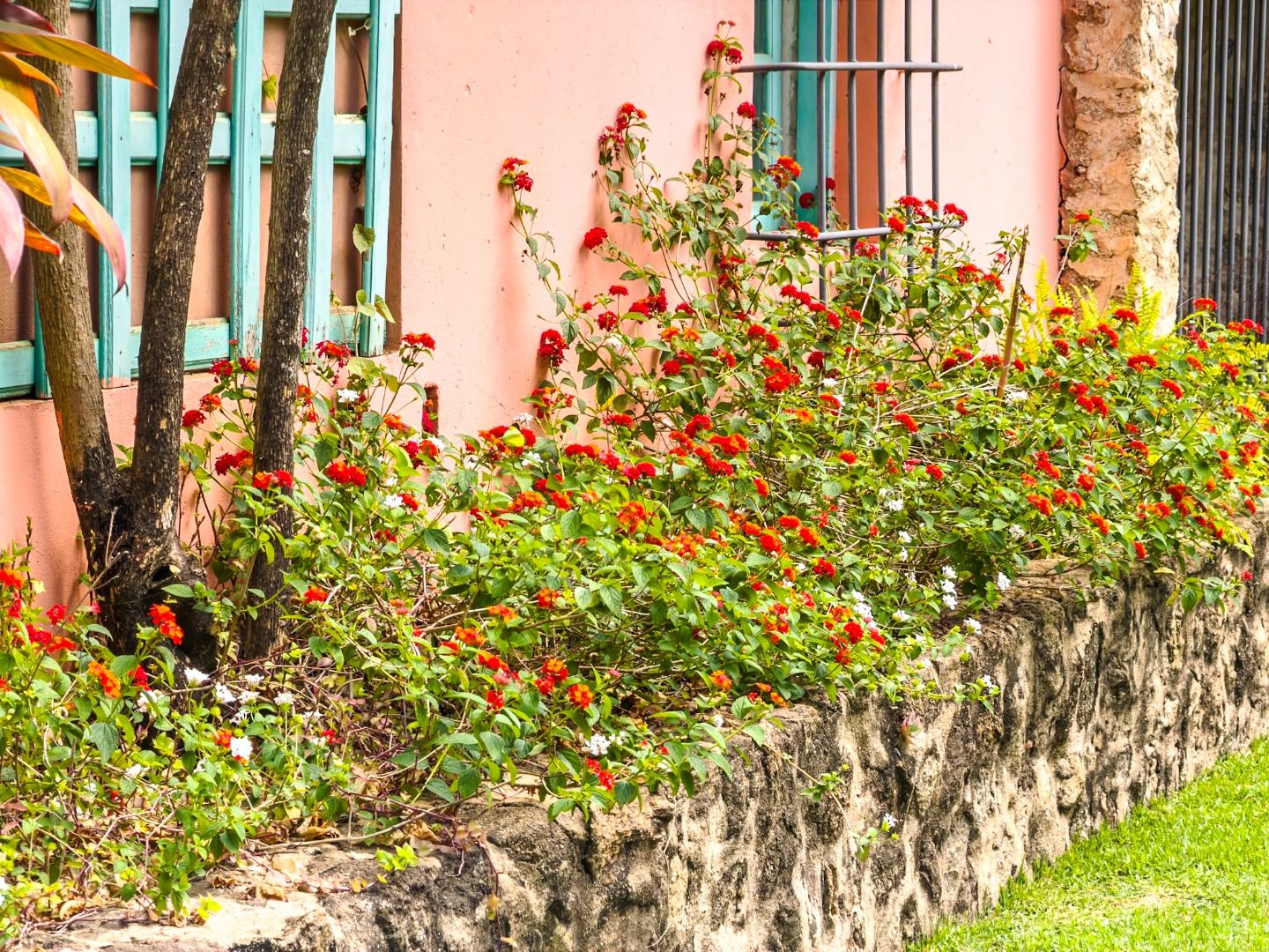 Casa 5 quartos à venda e para alugar em Helvétia Polo Country, Indaiatuba — Helvétia Country - foto 7