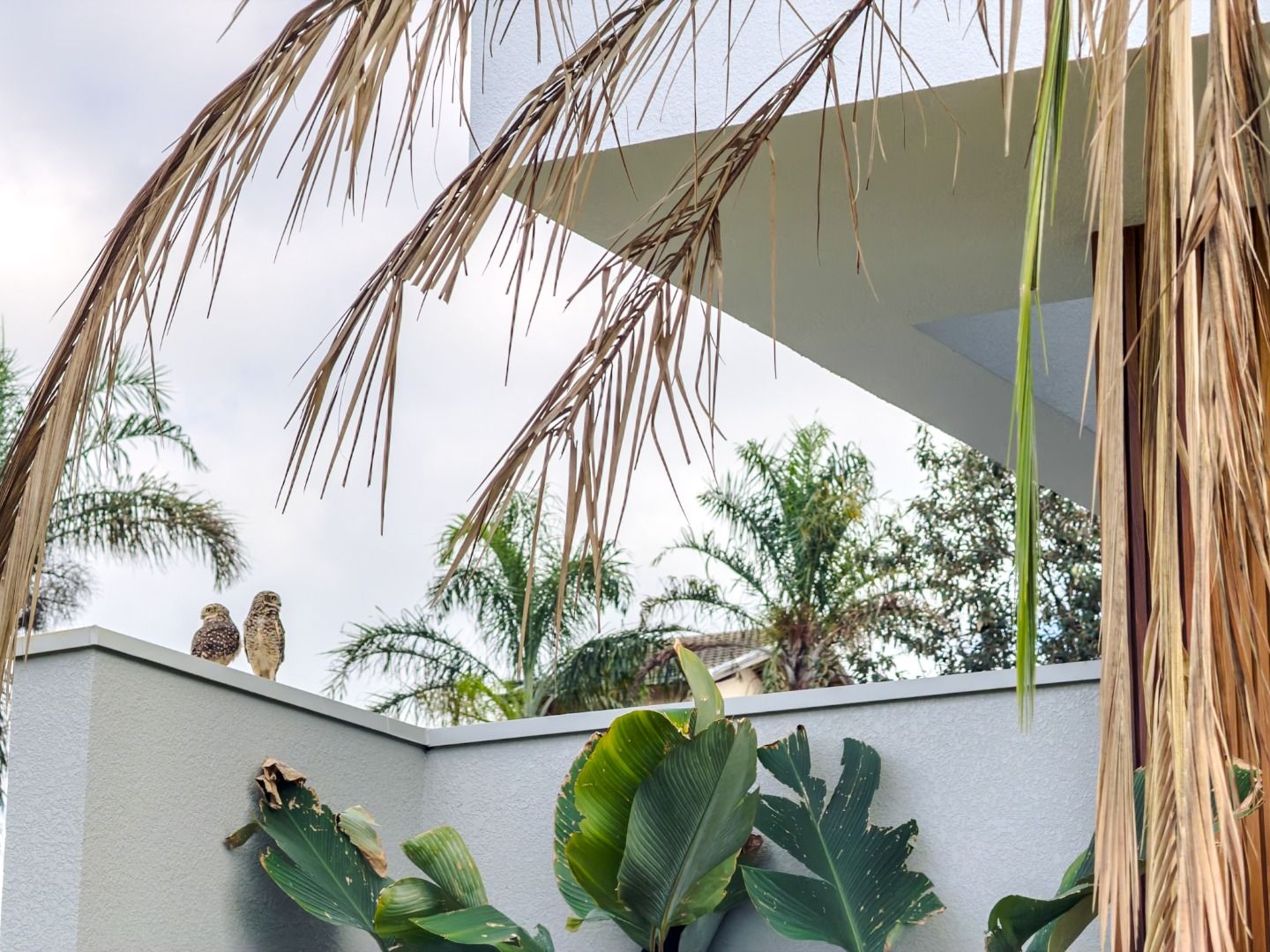 Casa 4 quartos à venda em Jardim Residencial Santa Clara, Indaiatuba - foto 6