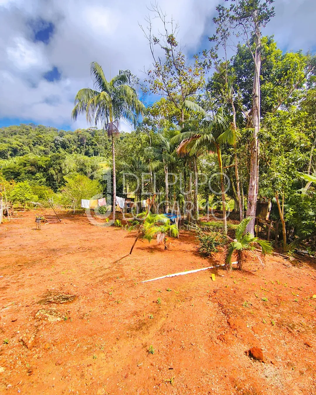 Terreno rural | Venda | Santa Maria de Marechal