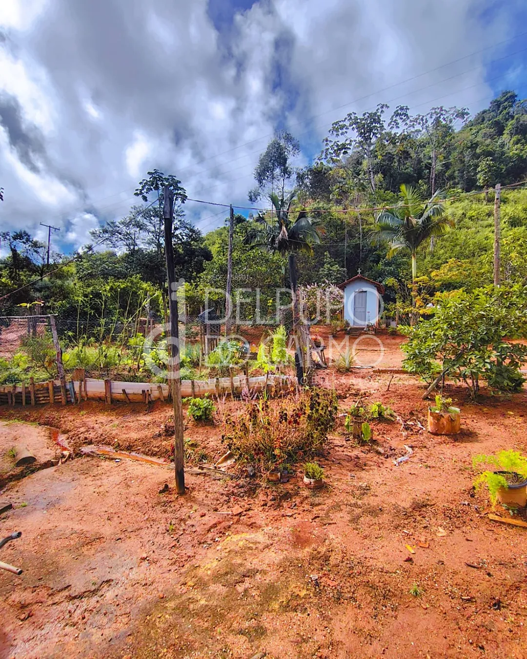 Terreno rural | Venda | Santa Maria de Marechal