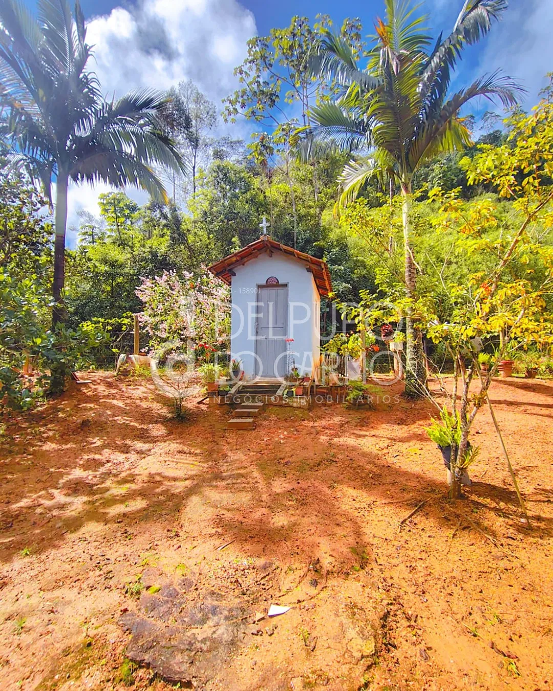 Terreno rural | Venda | Santa Maria de Marechal