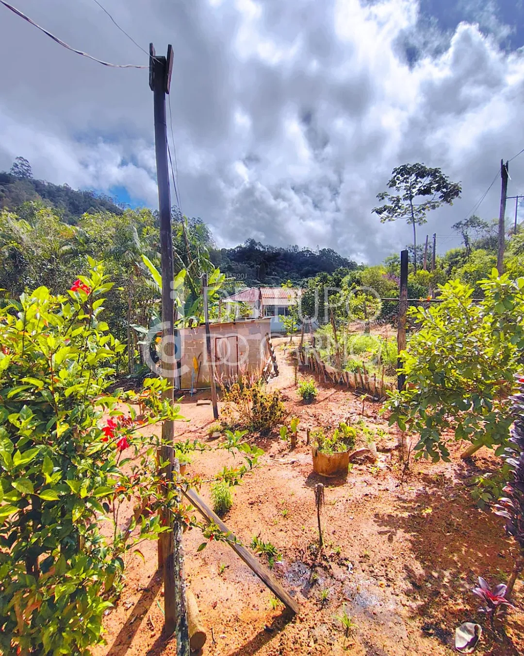 Terreno rural | Venda | Santa Maria de Marechal