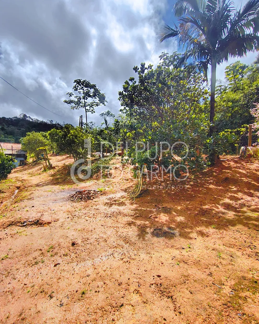 Terreno rural | Venda | Santa Maria de Marechal