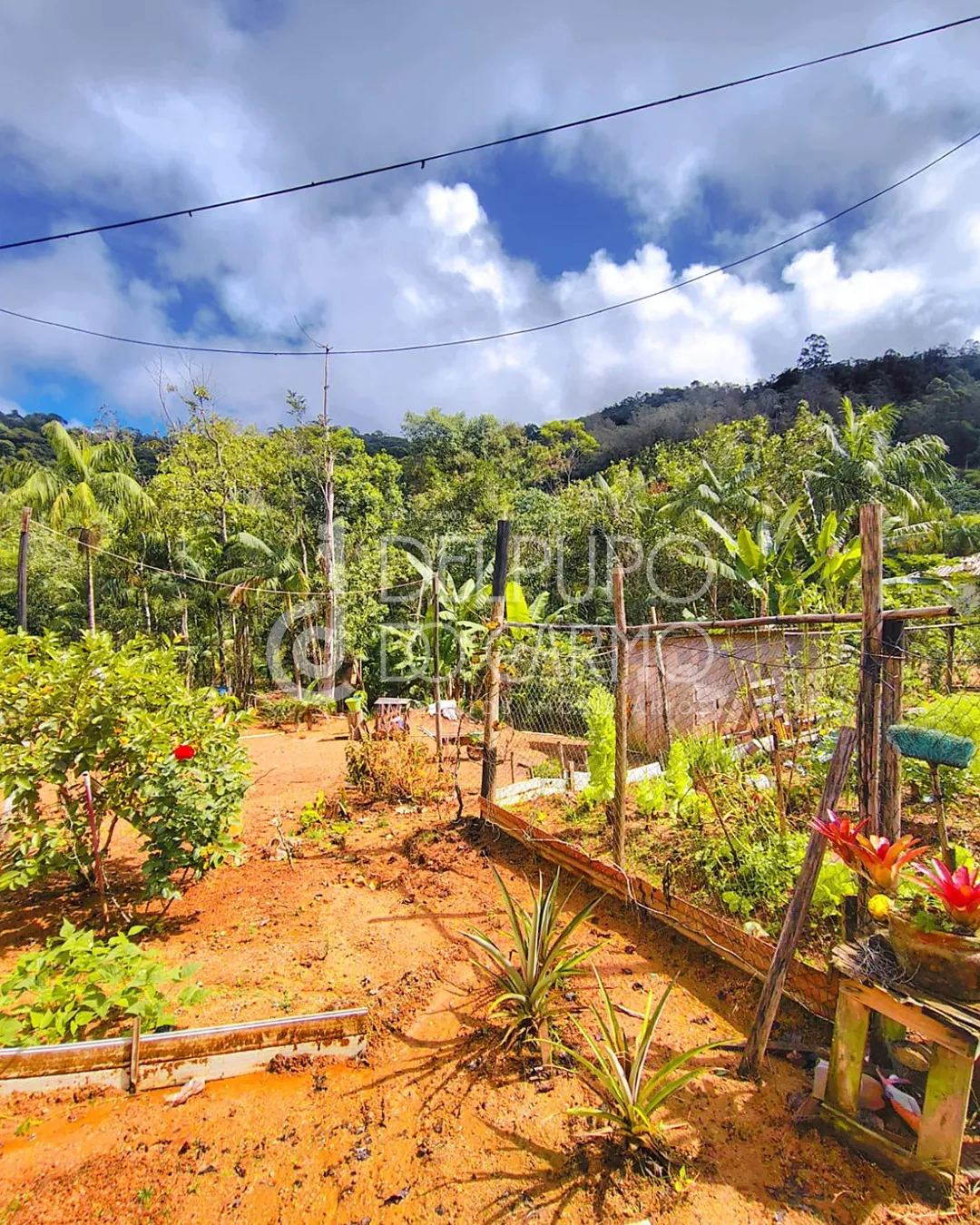 Terreno rural | Venda | Santa Maria de Marechal
