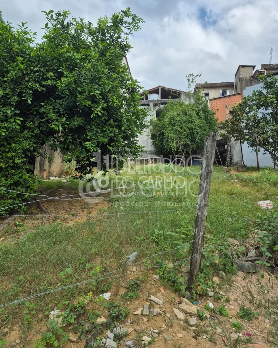 Lote | Venda | Centro