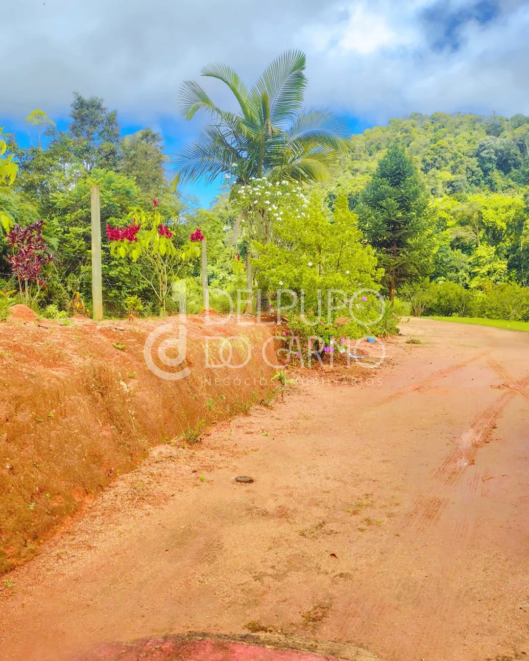 Terreno rural | Venda | Santa Maria de Marechal