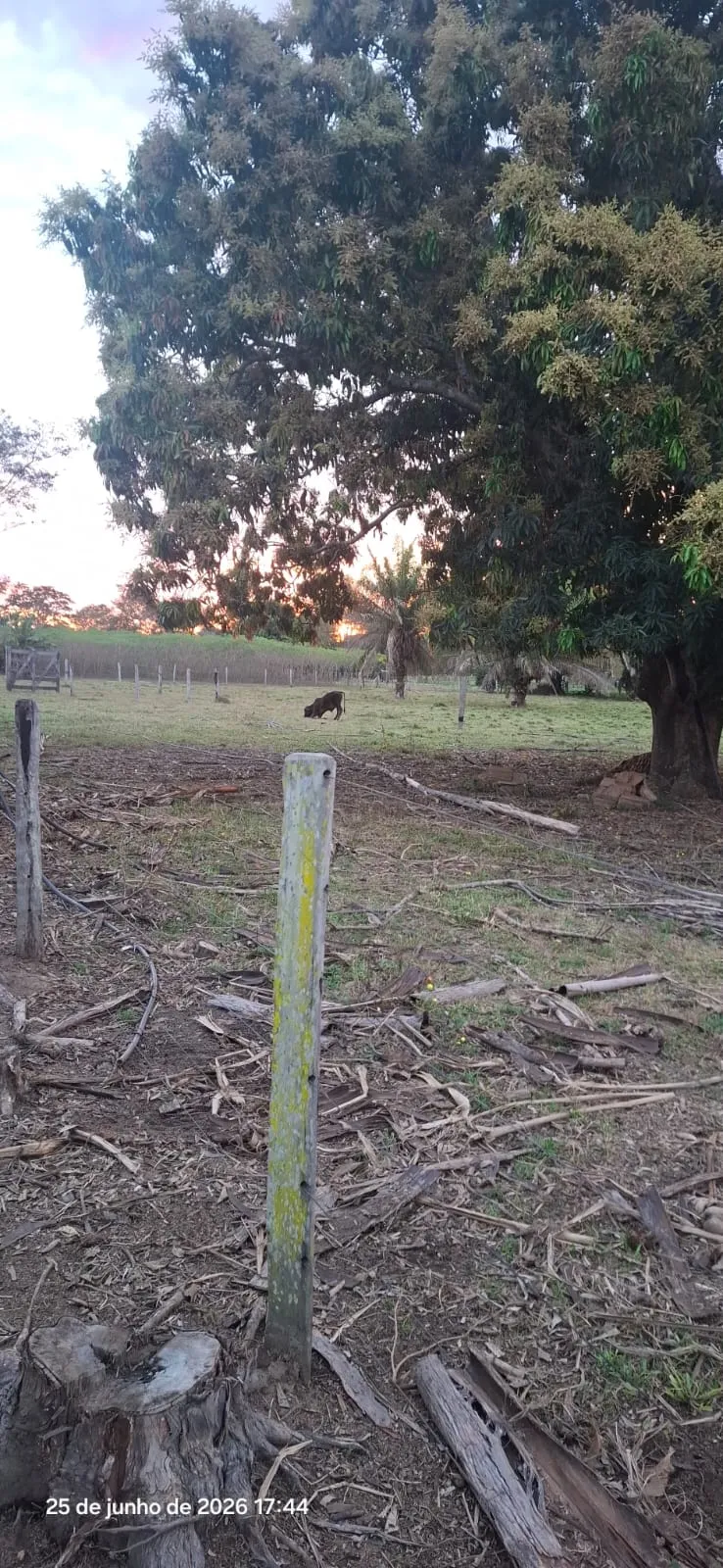 Fazenda/Sítios/Chácaras À Venda Prainha Cerejeiras