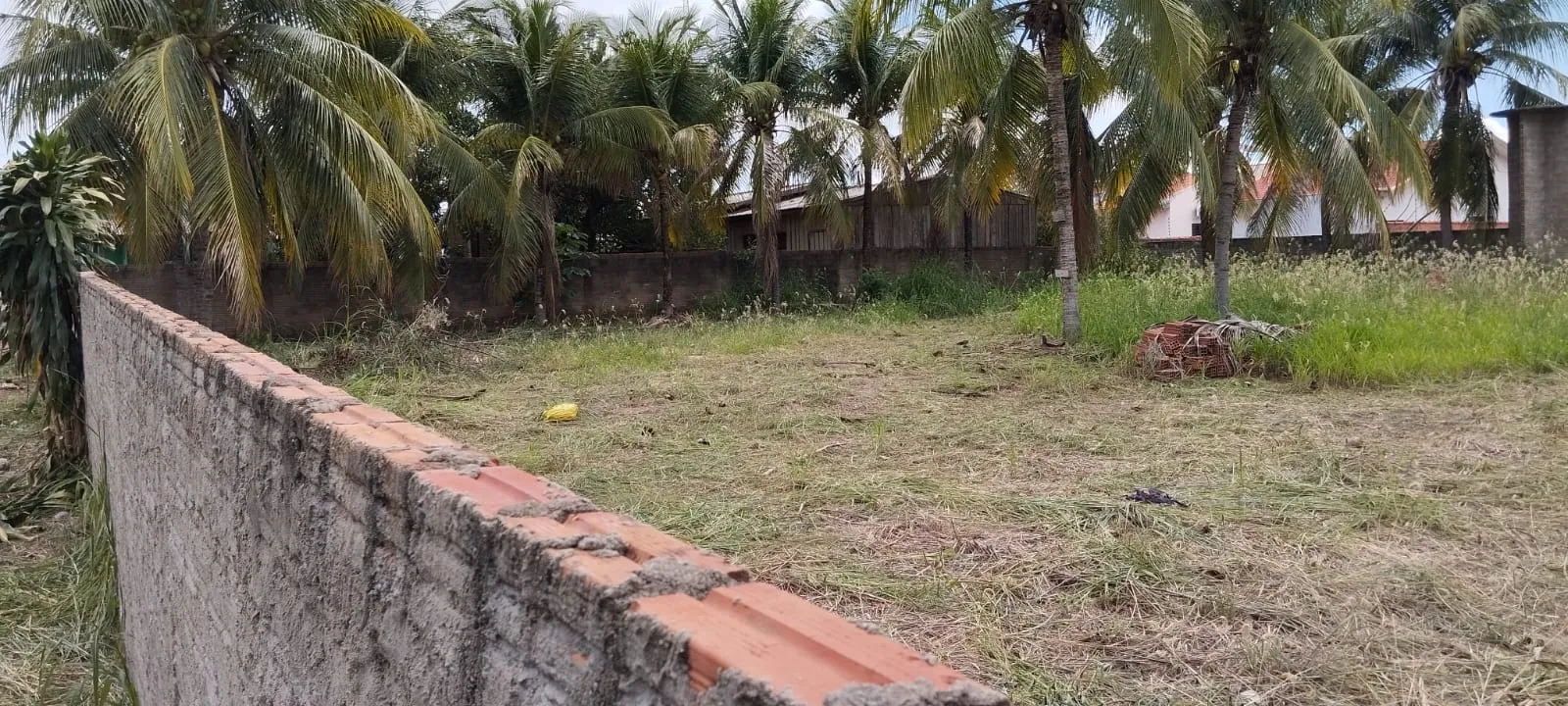Terreno À Venda Maranata Cerejeiras