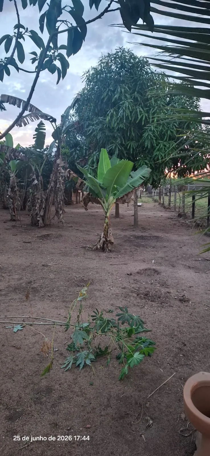 Fazenda/Sítios/Chácaras À Venda Prainha Cerejeiras