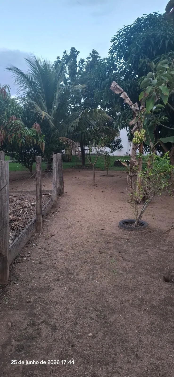 Fazenda/Sítios/Chácaras À Venda Prainha Cerejeiras