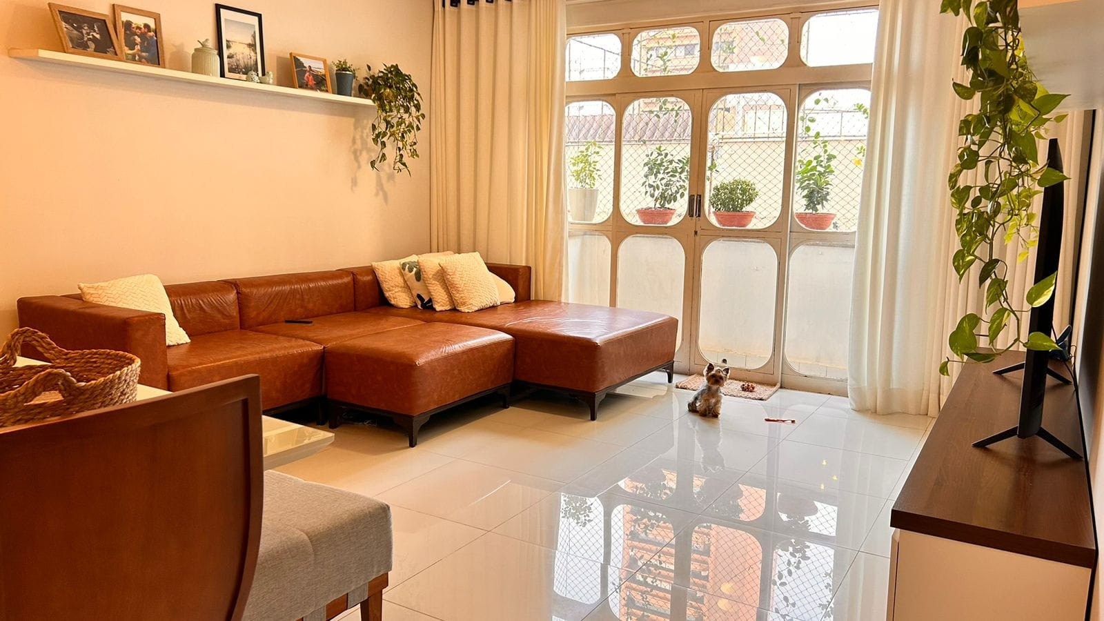 Excelente apartamento  Ed. D.João  VI