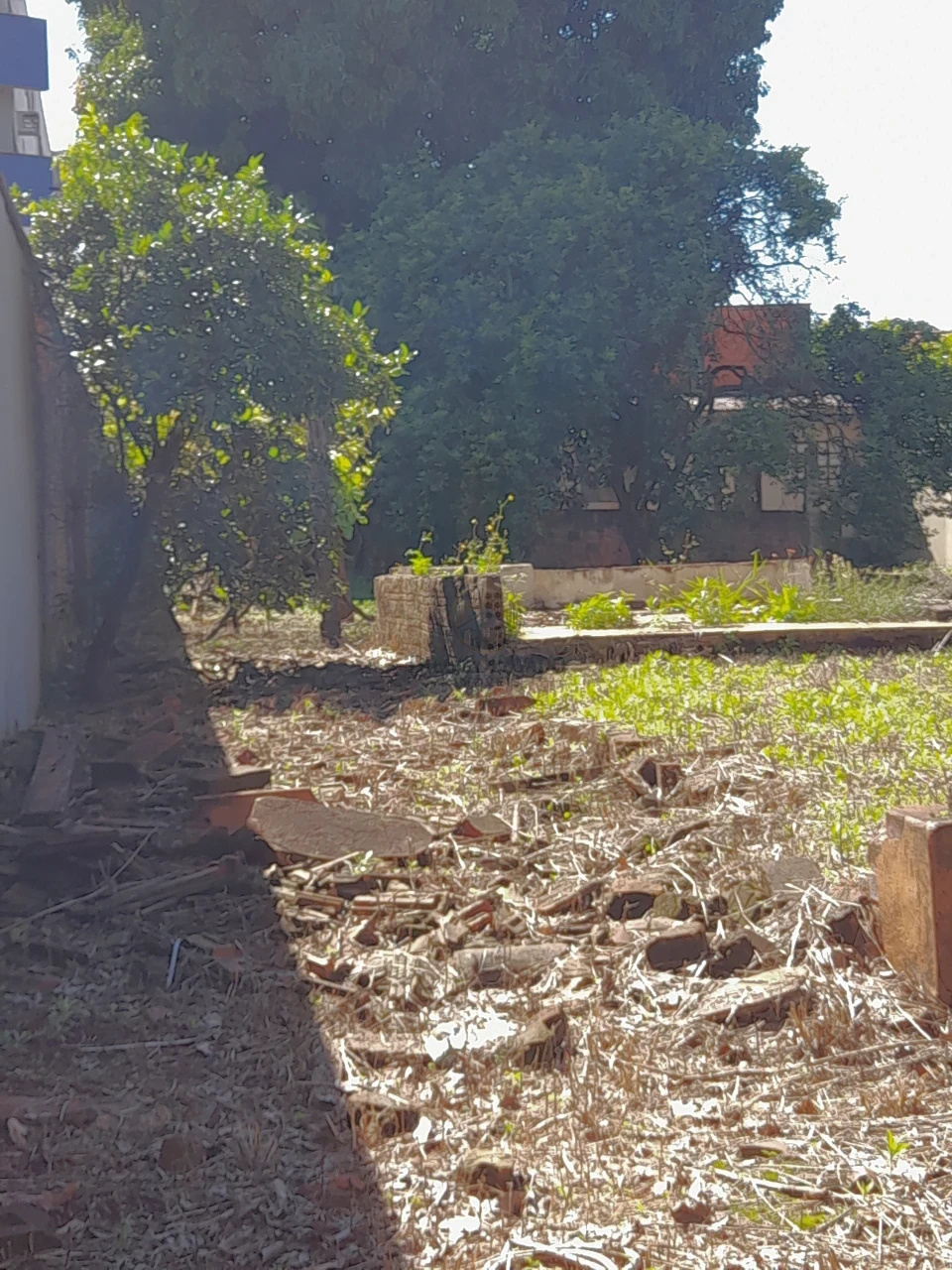 Terreno