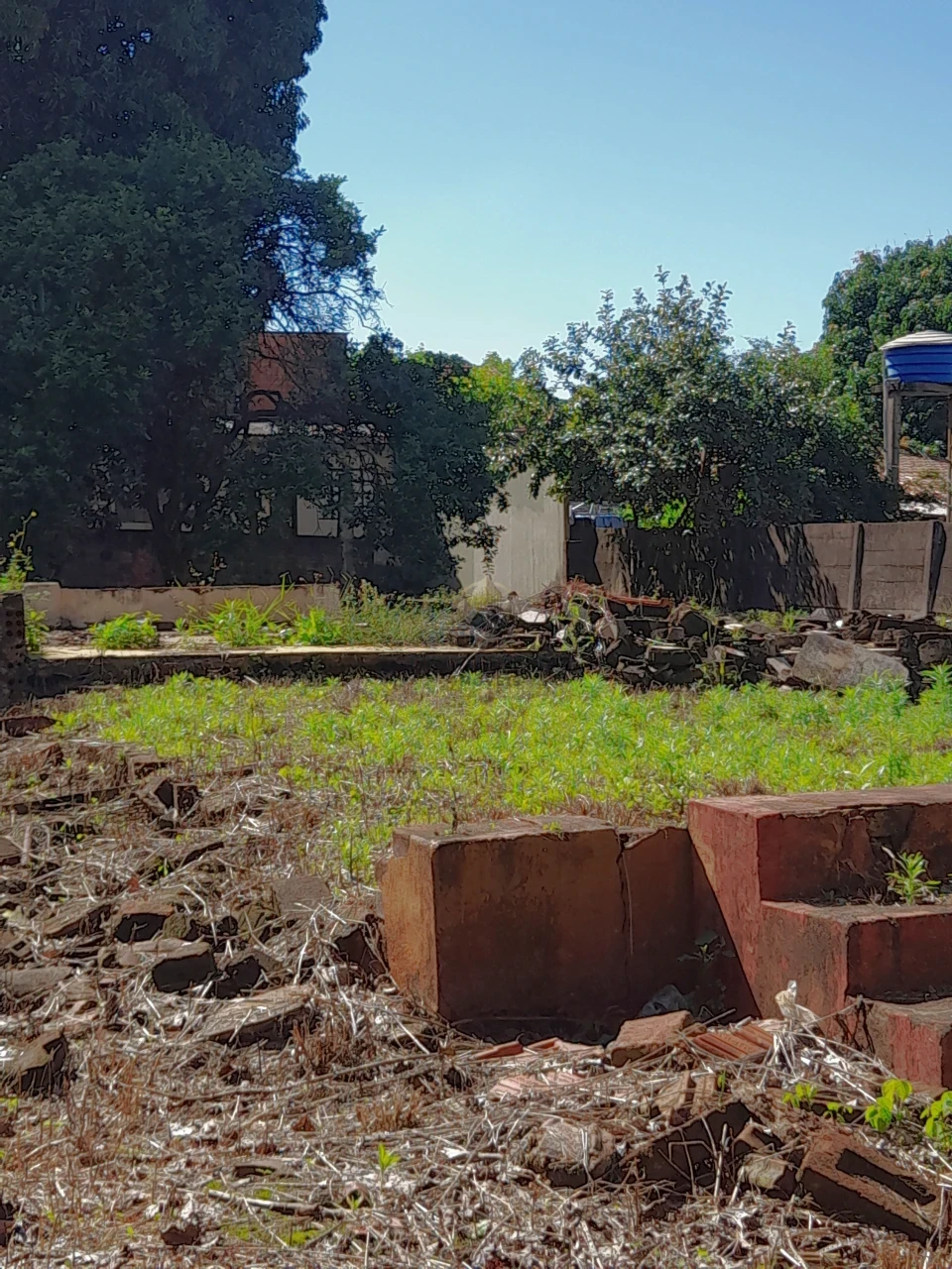 Terreno