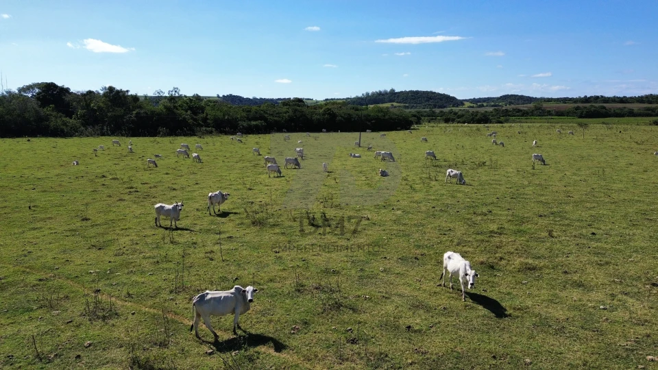 Imagens do imóveis Fazenda/Sítios/Chácaras À Venda Vila Rural Jataizinho