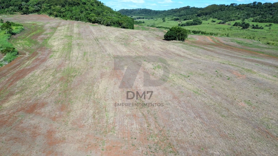 Fazenda/Sítios/Chácaras À Venda Vila Rural Jataizinho