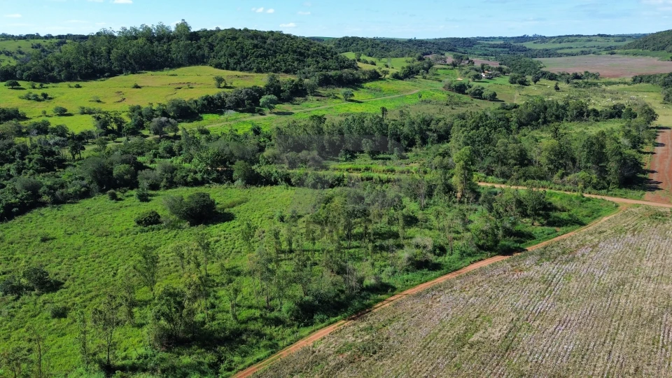 Imagens do imóveis Fazenda/Sítios/Chácaras À Venda Vila Rural Jataizinho