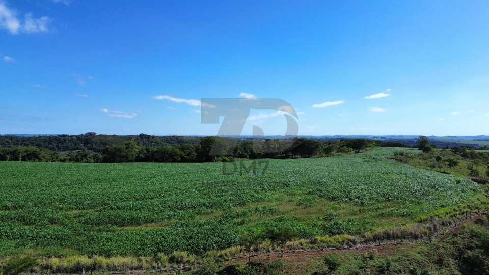 Fazenda/Sítios/Chácaras À Venda Vila Rural Jataizinho