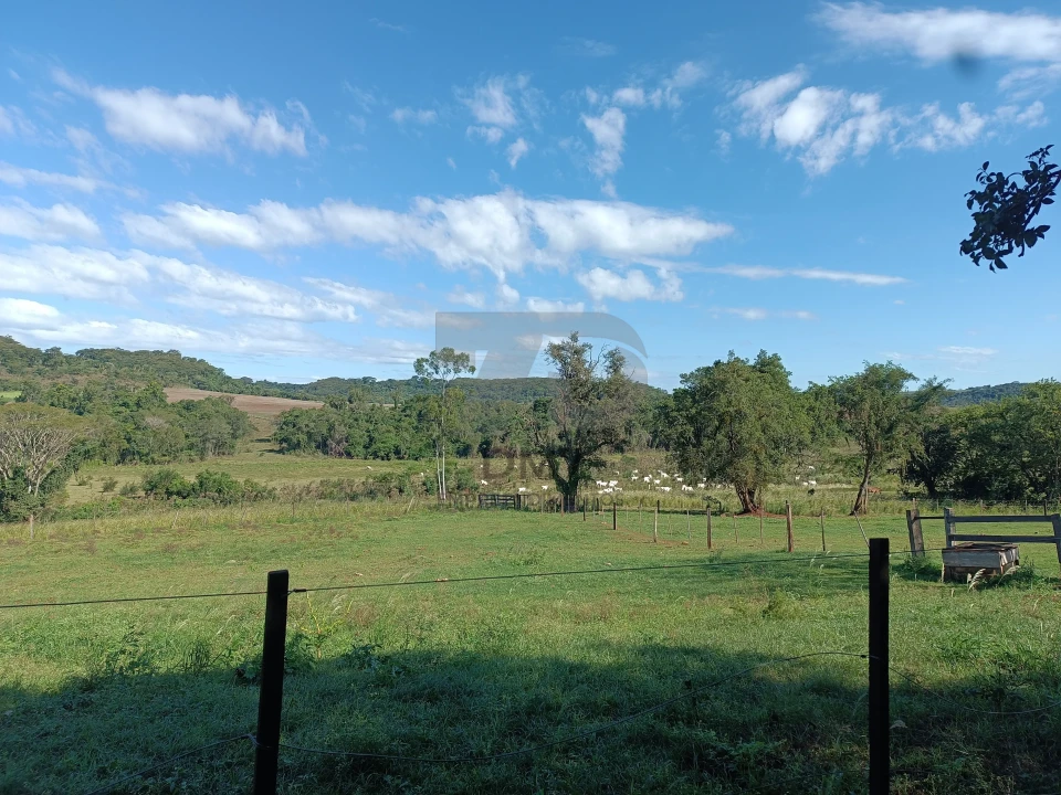 Imagens do imóveis Fazenda/Sítios/Chácaras À Venda Vila Rural Jataizinho