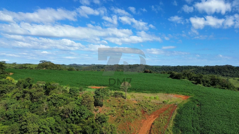 Fazenda/Sítios/Chácaras À Venda Vila Rural Jataizinho