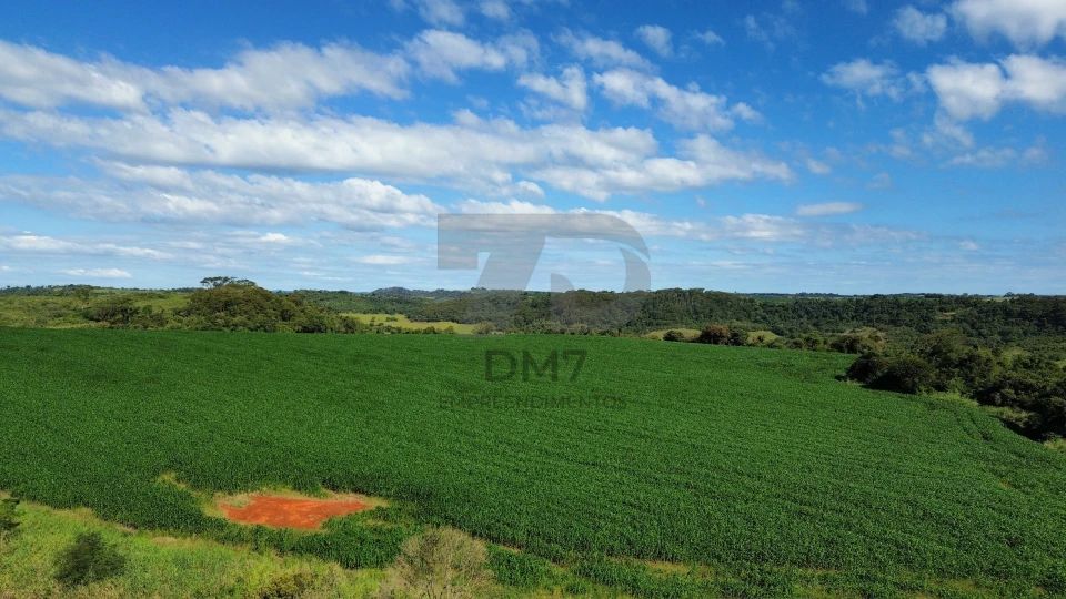 Fazenda/Sítios/Chácaras À Venda Vila Rural Jataizinho