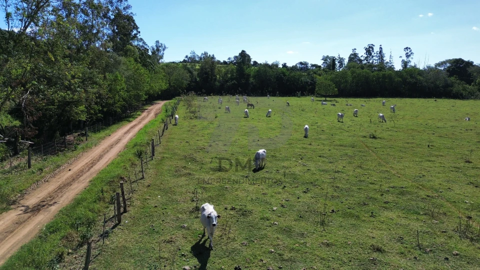 Imagens do imóveis Fazenda/Sítios/Chácaras À Venda Vila Rural Jataizinho
