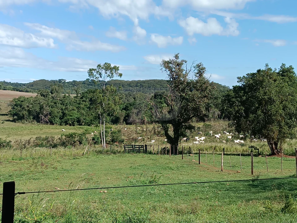 Imagens do imóveis Fazenda/Sítios/Chácaras À Venda Vila Rural Jataizinho